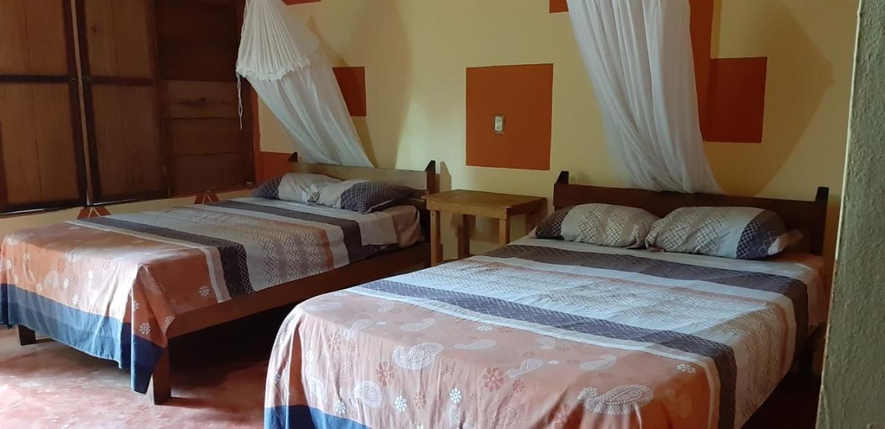 Centro Ecoturistico Ya'Ajche Hotel Lacanjá Eksteriør billede