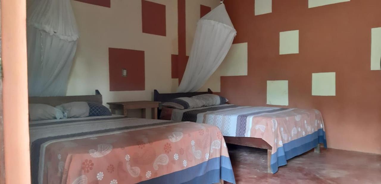 Centro Ecoturistico Ya'Ajche Hotel Lacanjá Eksteriør billede