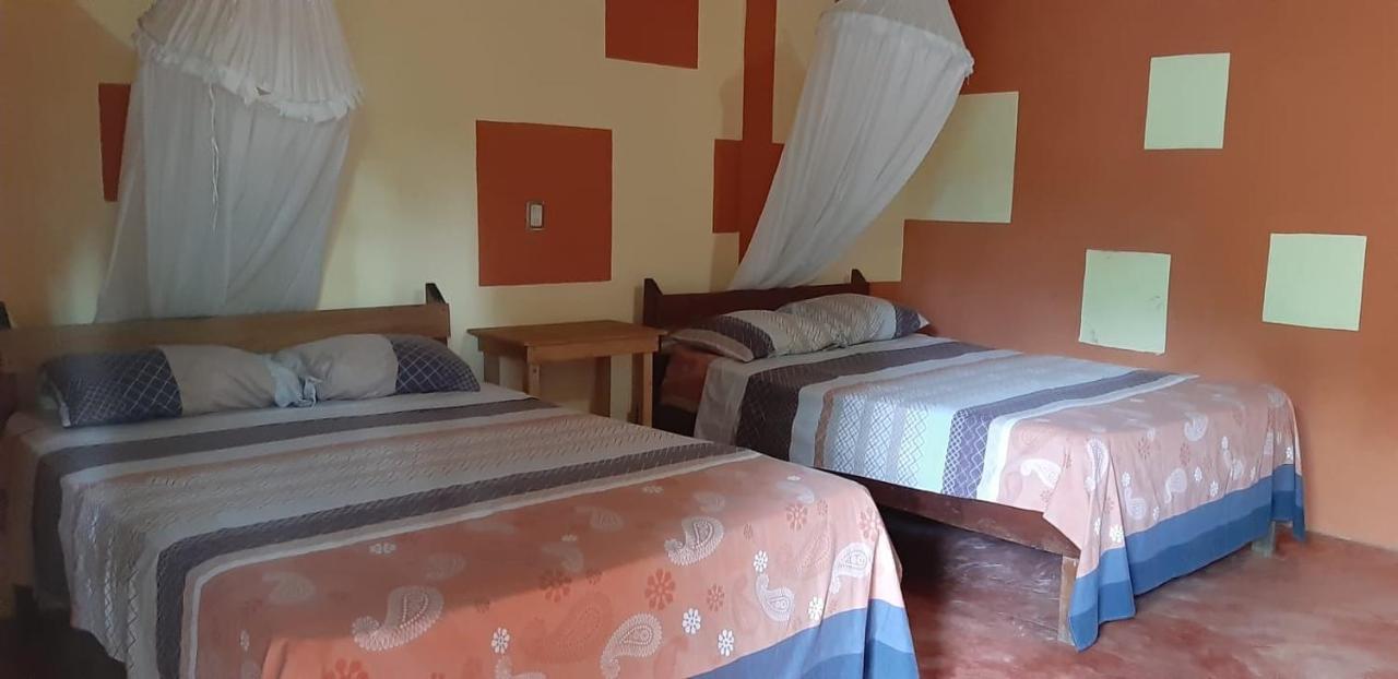 Centro Ecoturistico Ya'Ajche Hotel Lacanjá Eksteriør billede
